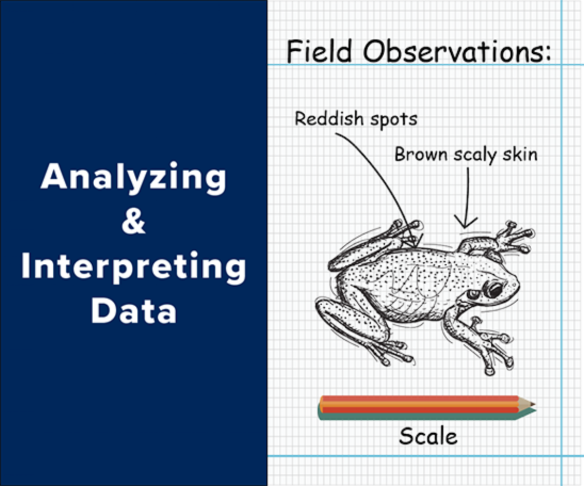 Analyzing And Interpreting Data | Aqua STEM